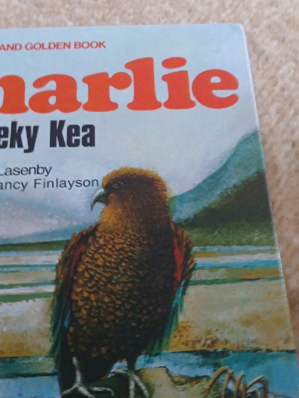 Charlie the Cheeky Kea Children's Book - Illustrated Edition (Green/Brown) - Picture 3 of 5